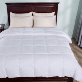 White - Hypoallergenic Queen Comforter Duvet Insert