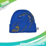 Customized Funny Children Fashion Plain Knitted Beanies Hats (066)