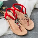 Women Sandals Shoes Casual Shoes Leisure Shoes