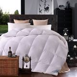 New Product Good Quality Full Season Down Quilt on Sale