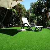Decoration Artificial Grass Carpet Chinese Curly