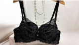 Elegant Embroidery Lace Underwear Bra and Panty Set (EPB309)