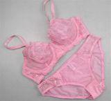 Sexy Transparent Bra Set with Beautiful Embroidery (EPB294)