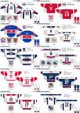 Customized American Hockey League Grand Rapids Griffins Hockey Jersey