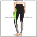 OEM Free Sample Hot Selling Wholesale Womens Sexy Yoga Pants