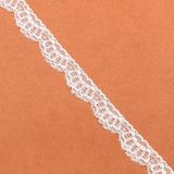 Fashion Elastic Nylon Tricot Lace