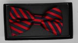 High Quality Fashion Stylish Silk/Polyester Bow Tie (DSCN0024)