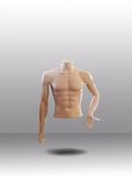 Half Body Female Mannequin