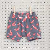 Infant Boys Clothes All-Over Printing Short Pants