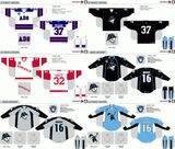 Customized American Hockey League Milwaukee Admirals Hockey Jersey