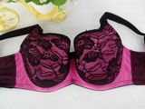 Europe Fashion Design Big Size Satin Bra with Black Lace