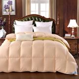 10%Duck Down Duvet Home Decor Quilted Comforter