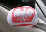 Professional Factory High Quality Custom Printing Car Wing Mirror Cover