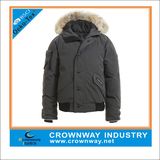 Best Unisex Junior Hooded Short Padded Jacket