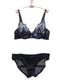 Elegant Lace Underwear Set Sexy Bra and Pants (W001)