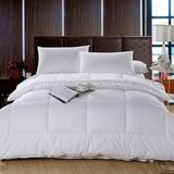 Hypoallergenic Cheap Quilted Down Alternative Comforter