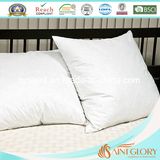 Feather Cushion Insert Feather Cushion Inner