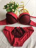 Push up Microfiber T-Shirt Bra and Panty Set