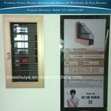 Aluminium Anti-Mosquito Window for House Decoration