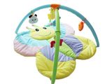 Lovely Butterfly Style Soft Baby Blanket with Frame