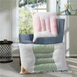 Home Hotel Nursing Health Bedding Textile Cushion Pillow Chinese Supplier