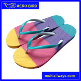 Colorful Casual Summer Slipper for Lady (D1630)