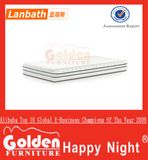 Compressed and Rolled Foam Mattress