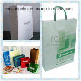 Customized Paper Shopping Bag with Printing Logo