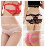 Sexy Woman Lace Lingerie Briefs Panties Underwear (T75013)