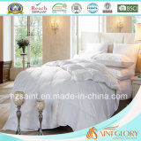 Classic Warm Down Duvet White Goose Feather and Down Quilt