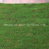 Eco-Friendly Artificial Fake Green Sheet / Carpet Moss for Wall Decoration