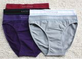 Seamfree Men Underwear Briefs