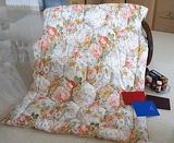 Printed Like Duvet Down Quilt of Classicial Printing