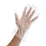 Glove Plastic Gloves Disposable Gloves