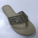 Popular Cheap Slipper Classical Slipper Sandals