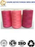 Manufacture 40s/2 5000 Yards 100% Spun Polyester Sewing Thread