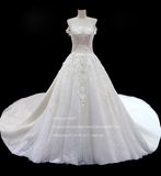 Aoliweiya Princess Lace Long Train Wedding Dress