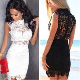 Hot Summer Women Lace Floral Sleeveless Sexy Evening Party Dress