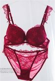 Fashion Design Delicate Lace Bra and Panty for Ladies (FPY318)