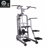 Pin Loaded Assisted DIP Chin Machine Sm8015 Gym Fitness Equipment