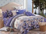 Adult Duvet Cover Bedding Set (CS001)