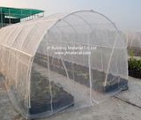 100% New HDPE Agricultural Anti Insect Net