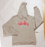 CVC Fleece Sweat Shirt with Embroidery