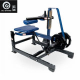 Seated Leg Curl Machine Osh033 Fashion Commercial Fitness Equipment