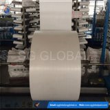 Polypropylene Circular Raffia Fabric in Roll