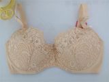 Wholesale Stylise Fancy Lace Bra