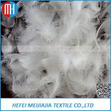 High Quality Duck or Goose Down Feather Price