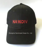 Fashion Baseball Hat with Flat Embroidery (LY071)