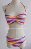 Color Striped Bikini Sexy Lady Swimwear Swimsuit Sandbeach Bikini