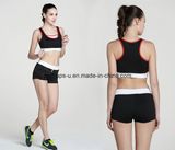 Fashion Quickly Dry Comfortable Gym Bra Yoga Shorts Fitness Suit